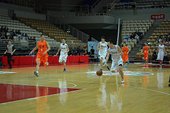 DSC_0394.jpg