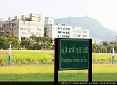 基隆河右岸小突擊 don1don 動一動 (13).jpg