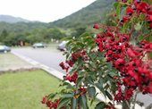 小編的巴拉卡公路初體驗！ don1don 動一動 (14).jpg