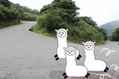 小編的巴拉卡公路初體驗！ don1don 動一動 (24).jpg