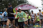 『2012第四屆雙溪櫻花馬拉松，朦朧的櫻花好硬的山路！』