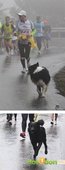 『2012第四屆雙溪櫻花馬拉松，朦朧的櫻花好硬的山路！』 (15)