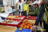 【主題賽事】-『關家良一長跑環台感恩之旅，充滿感謝的完結』 (15)