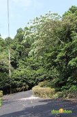 DON1DON-『充滿傳奇故事的跑道，翻山越嶺北宜公路超馬賽』 (5)