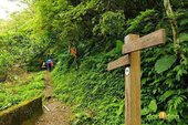 【路線探勘】-『SALOMON X TRAIL RUN 越野路跑，超硬賽道嘗鮮看！』 (2)