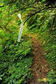 【路線探勘】-『SALOMON X TRAIL RUN 越野路跑，超硬賽道嘗鮮看！』 (3)