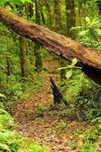 【路線探勘】-『SALOMON X TRAIL RUN 越野路跑，超硬賽道嘗鮮看！』 (11)