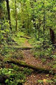 【路線探勘】-『SALOMON X TRAIL RUN 越野路跑，超硬賽道嘗鮮看！』 (12)