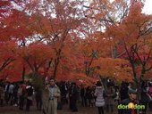 【賽場焦點】-『2012大阪馬拉松（下）- Osaka Marathon Day』 (1)