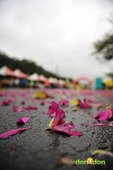 【主題賽事】-『2012艋舺盃全國馬拉松，豪雨打水仗』 (10)