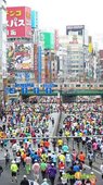 【曉陽的42公里玩樂行】-『東京馬拉松的冒升』2