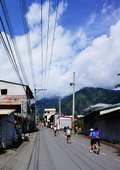 葡萄馬10_10