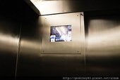 IMG_8190.jpg