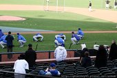 IMG_3917.jpg