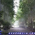 樹牆噴霧降溫規劃設計