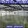 溫室增溼方法