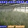溫室加藥噴霧設備