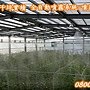 溫室濕度控制