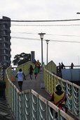 IMG_2474 (复制).JPG
