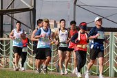 IMG_3119 (复制).JPG