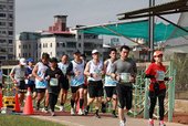 IMG_3132 (复制).JPG