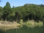 IMG_0395.JPG