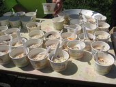 IMG_0424.JPG
