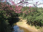 IMG_0381.JPG