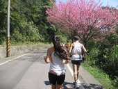 IMG_0419.JPG