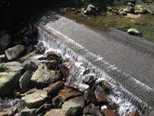IMG_0385.JPG