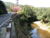 IMG_0379.JPG