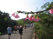 IMG_0287.JPG