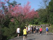 IMG_0307.JPG