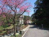 IMG_0417.JPG