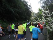 IMG_0265.JPG