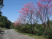 IMG_0429.JPG