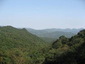 IMG_0294.JPG