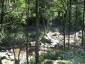 IMG_0390.JPG