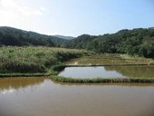 IMG_0344.JPG