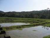 IMG_0374.JPG
