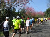 IMG_0309.JPG