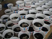 nEO_IMG_IMG_4458