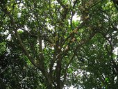 nEO_IMG_IMG_4511