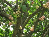 nEO_IMG_IMG_4512