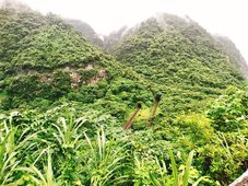 S__60678316.jpg