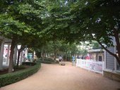 DSCN3231