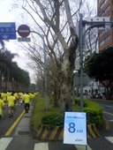 DSC01495.JPG