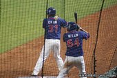 _MG_9559.JPG