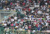 IMG_2982.JPG