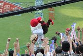 IMG_2996.JPG